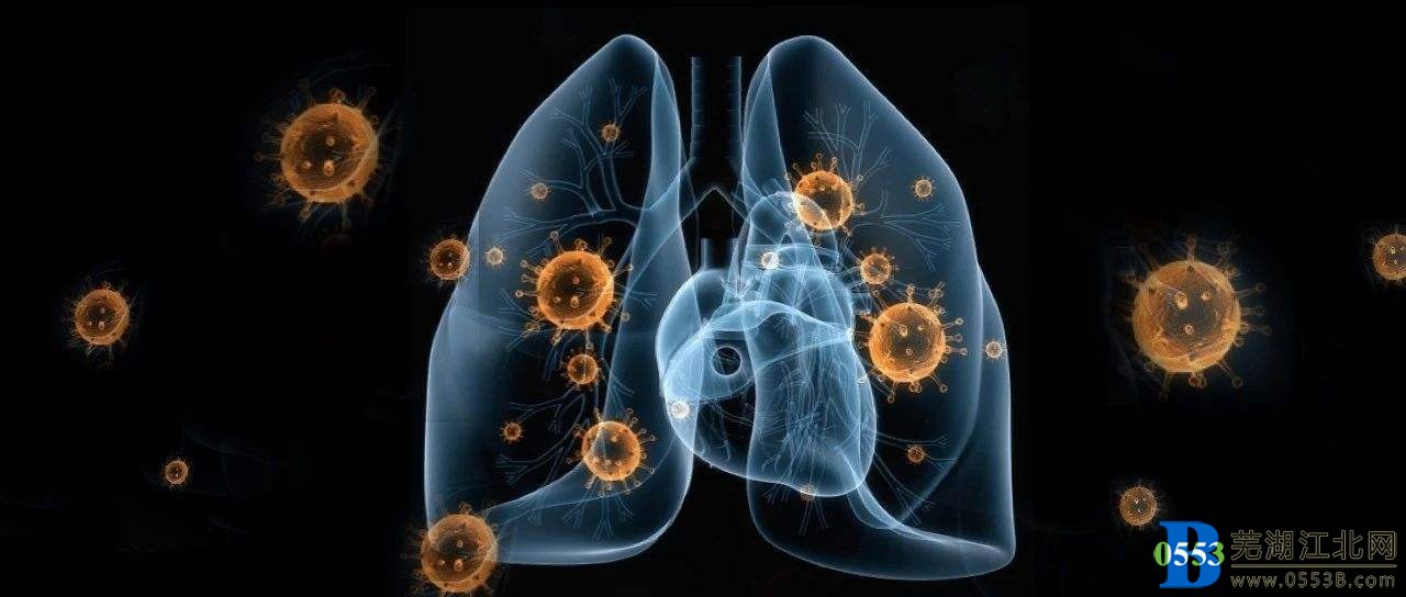 �ߺ��������͹�״���������������ͨ��