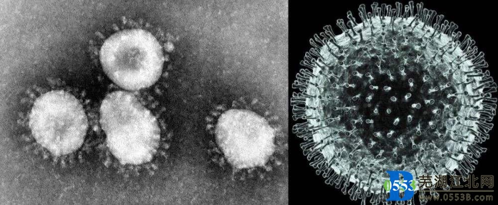 1��28���ۼ�9�����ߺ�����ͨ��