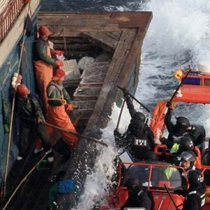 �������Ʊ�ɱ�й����������� ��ͼ��ж����