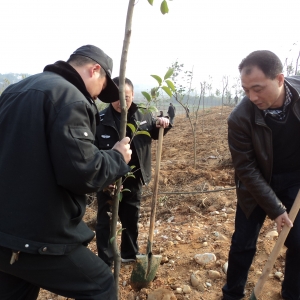 �ߺ������ݾֻ����μ�ȫ������ֲ���