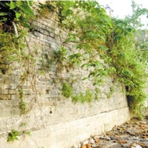 ��Ϊ�� ǧ�׳�ǽ ǧ���ɣ