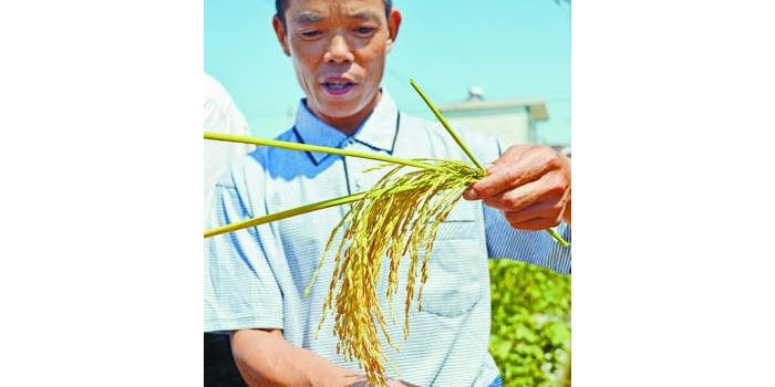 Ԭ¡ƽ�ߺ��������ջ��ڼ� ������ר�Ҹ�����Ħ