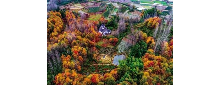 ����ǧ�������ׯ