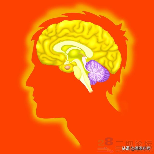 tXgXvQ8qbmf2Q55p.jpg